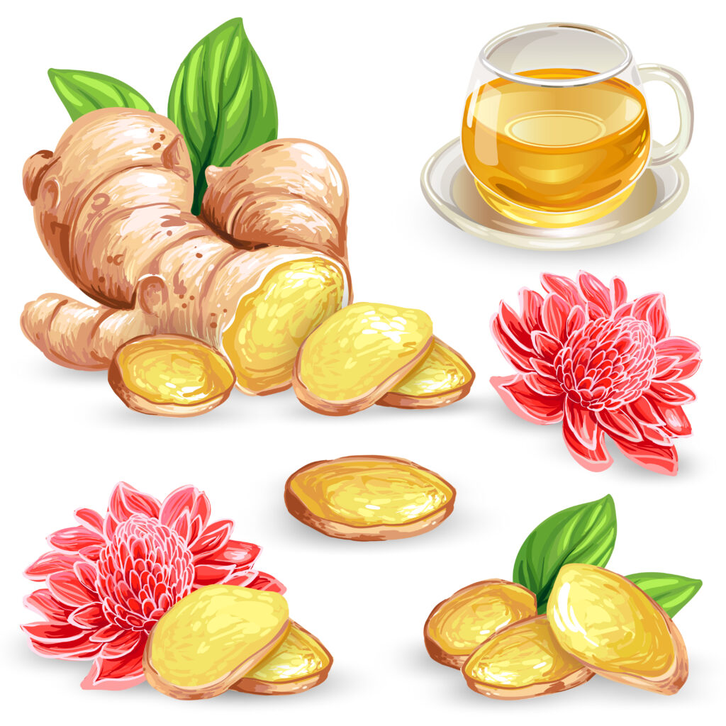 Natural Remedies to Lose Belly Fat